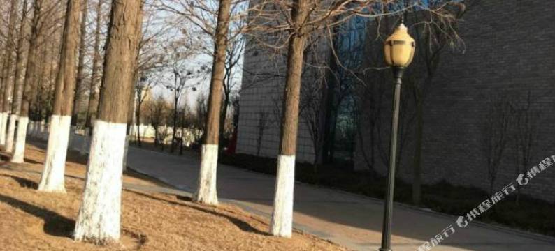 听海轩公寓(青岛金沙滩度假区店)图片