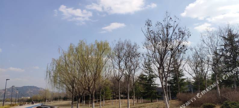 蒙阴东蒙避暑山庄图片