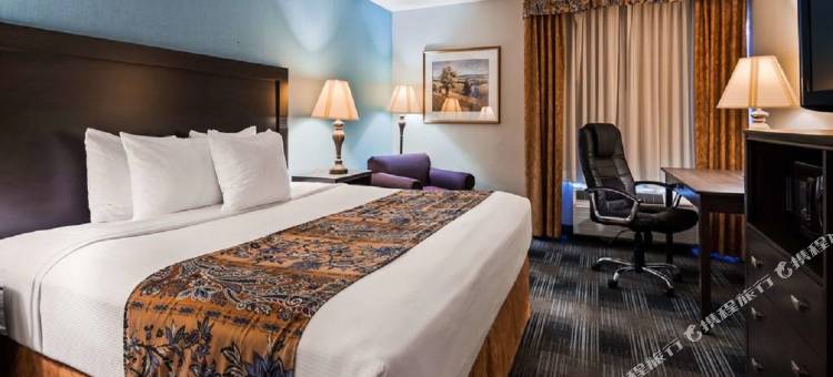 Best Western Mount Vernon/Ft. Belvoir图片