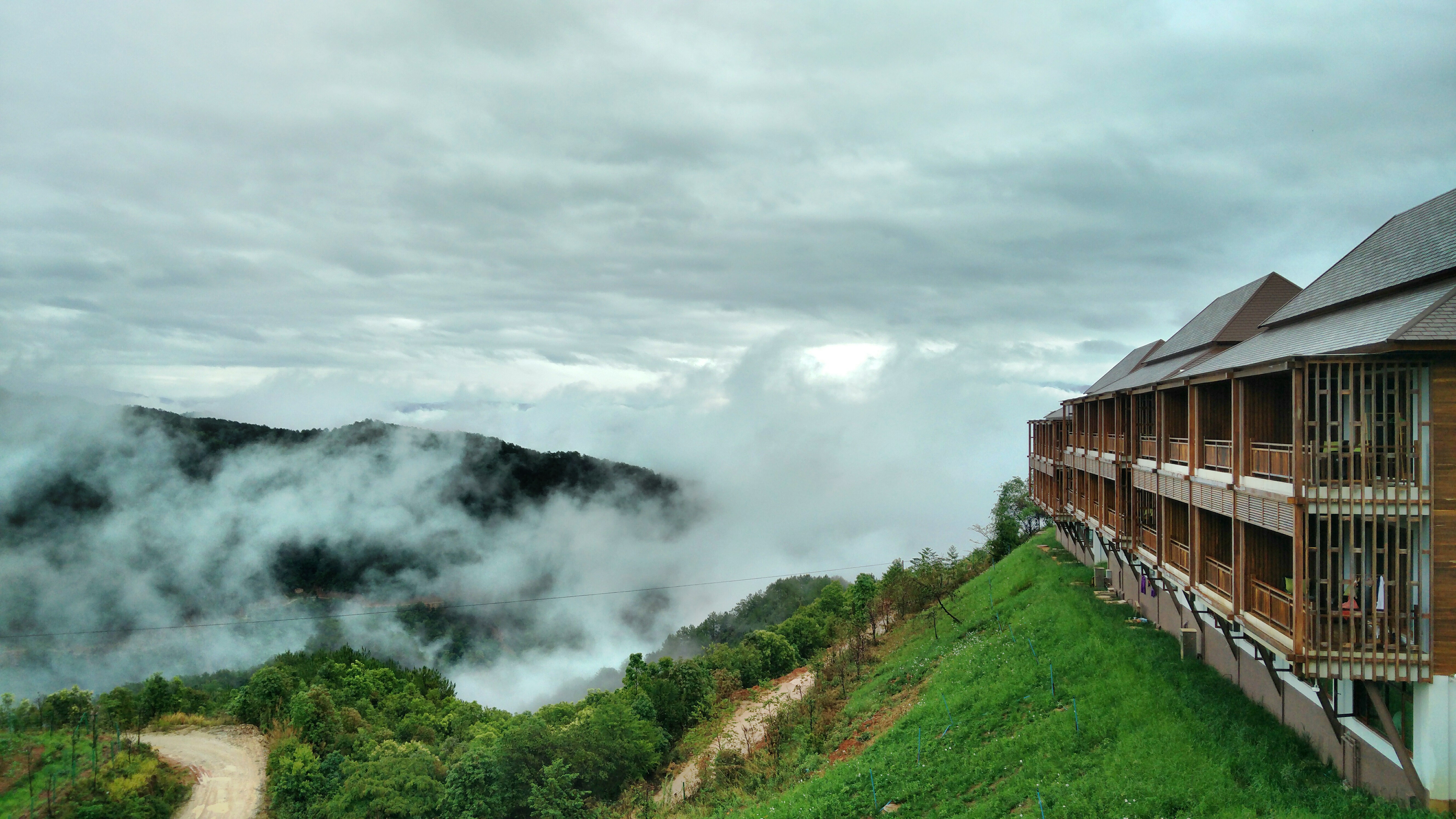 The Nest Tea Estate ResortOver view