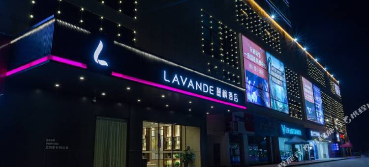 麗枫酒店(永新步步高时代广场店)图片