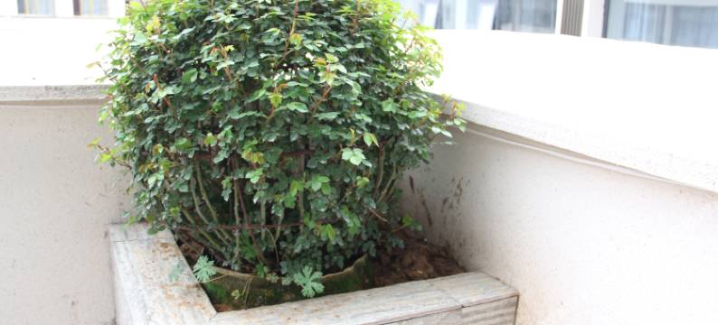 富唐·商务酒店(唐河汽车站店)图片