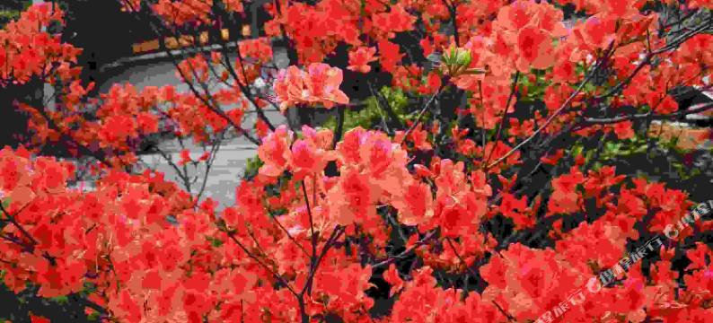 杭州田园农家乐图片