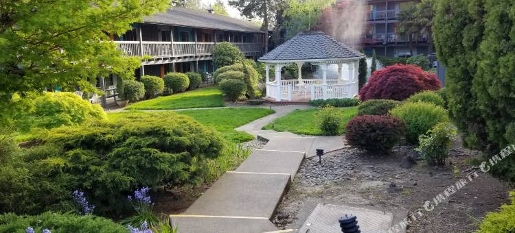 贝斯特韦斯特波特兰西比弗顿酒店(Best Western Portland West Beaverton)图片