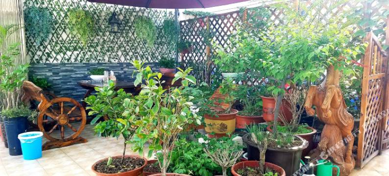 肥西港汇主题宾馆图片