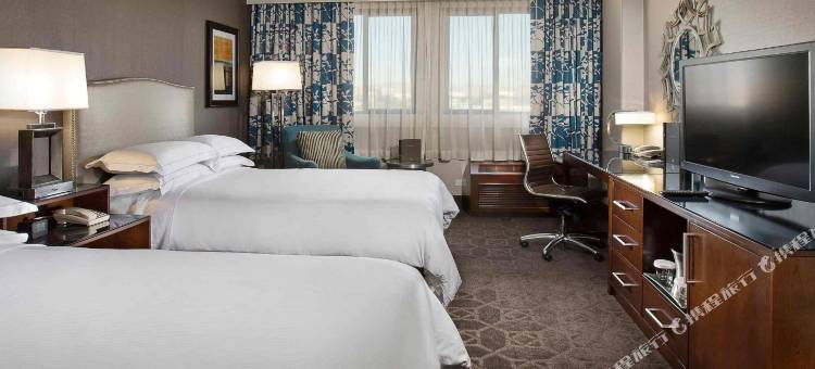 希尔顿康科德酒店(Hilton Concord)图片