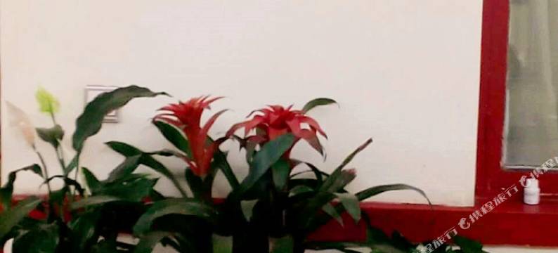 长岛爱萍渔家图片