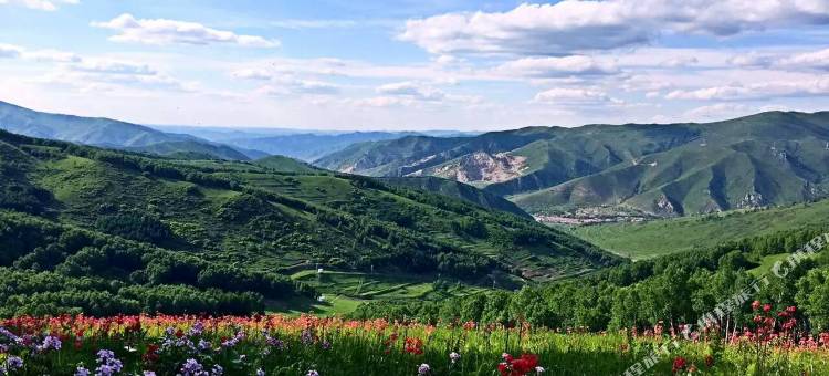 张家口印象崇礼酒店式公寓图片