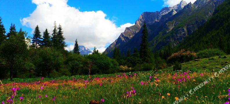 四姑娘山二娃山庄图片