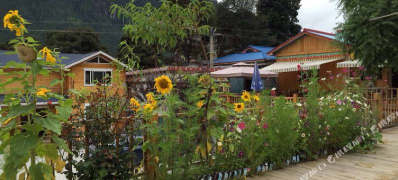 波密悠游道青年旅舍图片