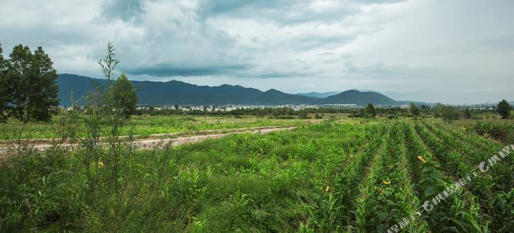 丽江束河蜗牛客栈图片