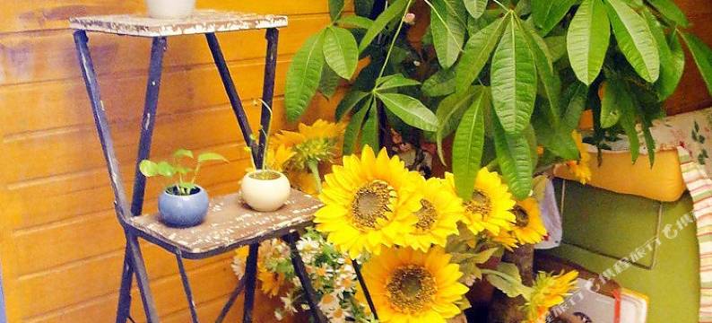 鼓浪屿屿岸花度假旅馆图片