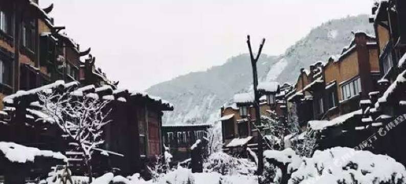 卧龙熊猫苑民宿图片