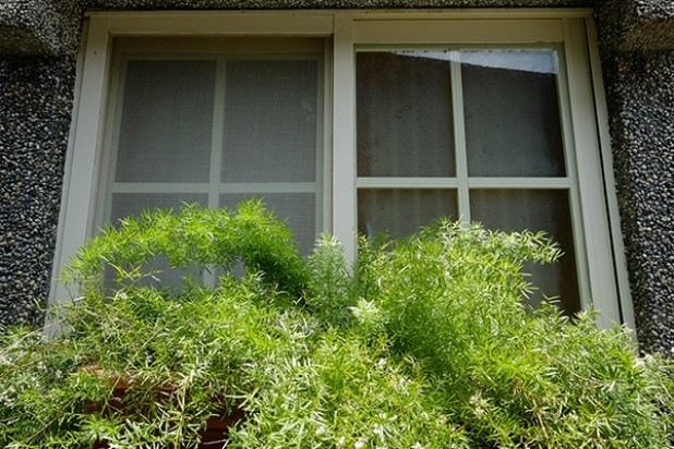 Wensing House Hotel Reviews And Room Rates - 