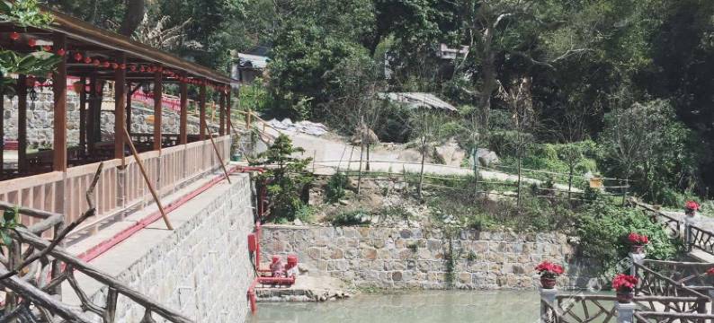 南澳爱来林山庄(黄花山海岛森林公园店)图片