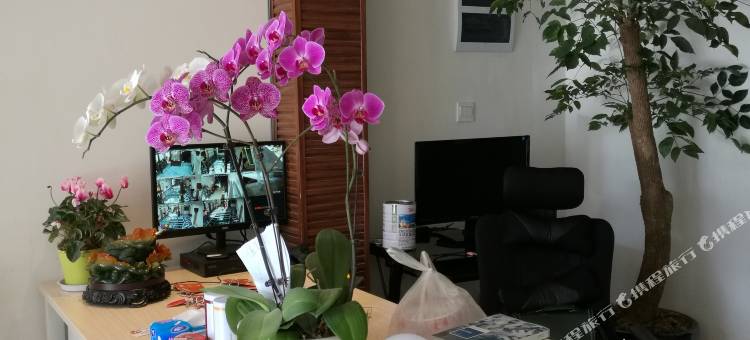 大理古城故乡云客栈(大理古城南门店)图片