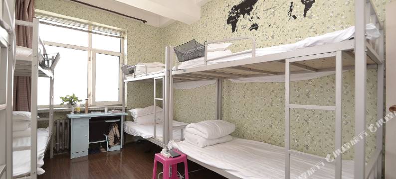 哈尔滨老街国际青年旅舍图片