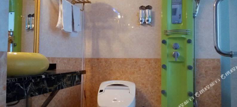 六安一天一夜国际商务宾馆图片