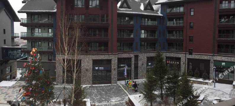 万科松花湖滑雪场青山松林公寓图片
