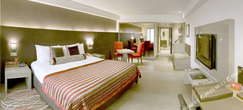 拉利特新德里(The Lalit New Delhi)图片