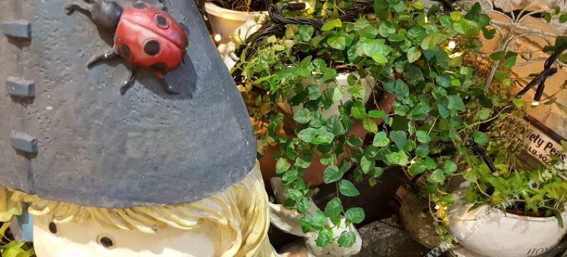 橙舍青旅(台北一馆)图片