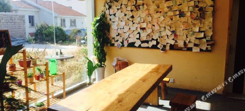 青岛1988青年旅舍图片