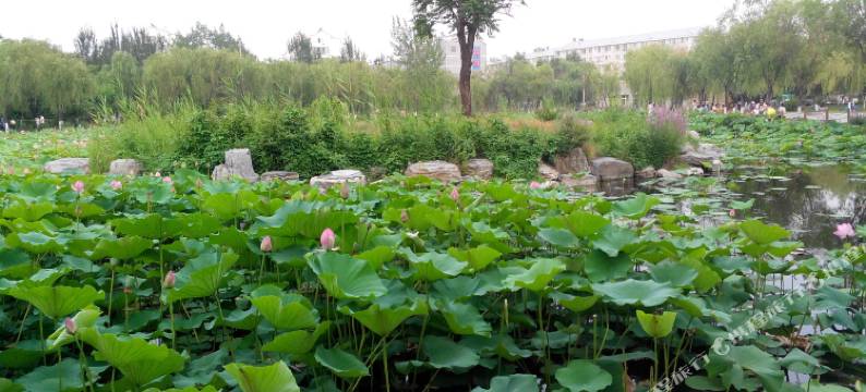 秦皇岛山海关火车站温馨大房普通公寓图片