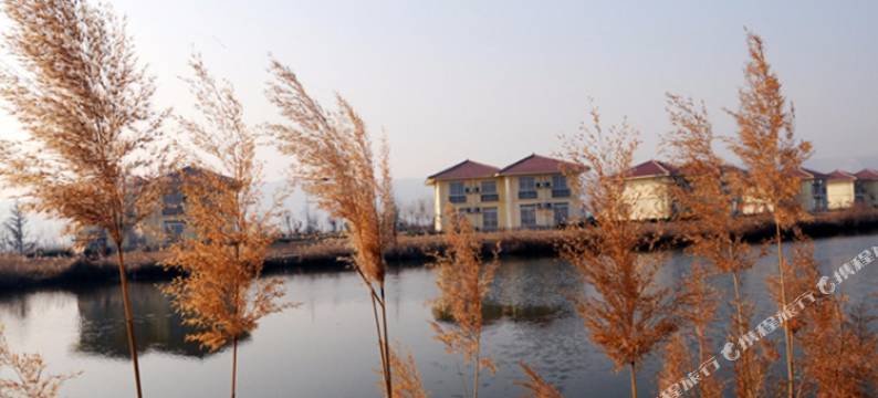 合阳黄河湾假日酒店图片
