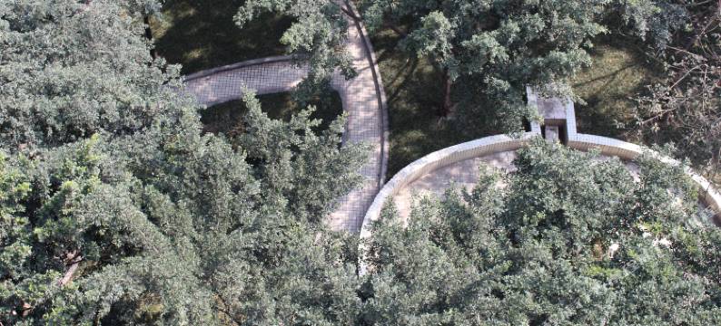 成都紫藤1号青年公寓图片