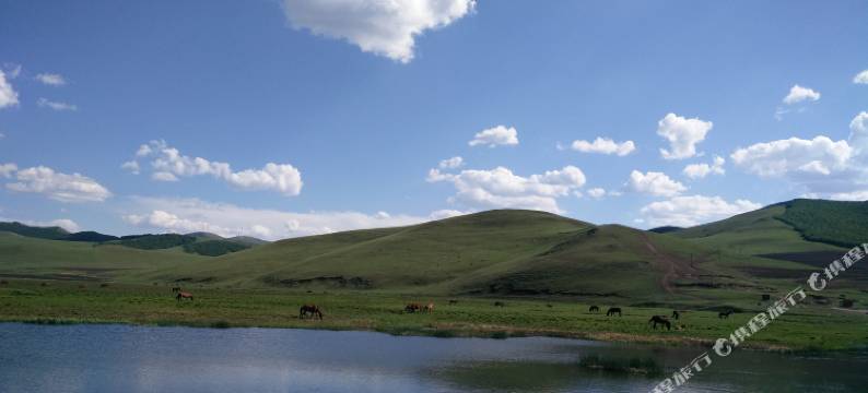丰宁如约假日酒店图片