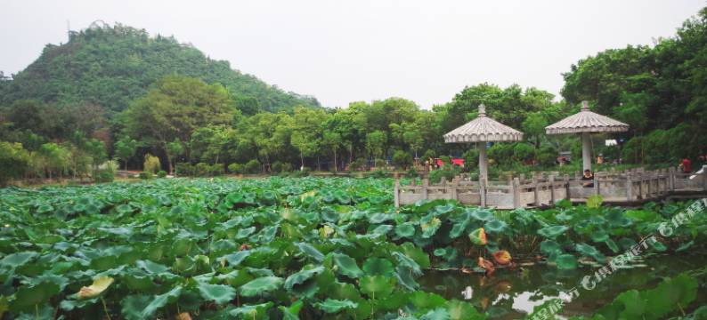下一站柳州青年旅舍(城中万达广场广西科技大学南门店)图片