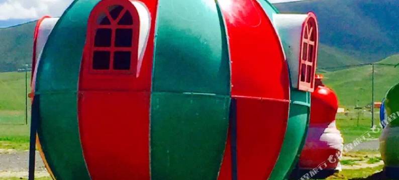 青海湖小牦牦家庭牧场图片