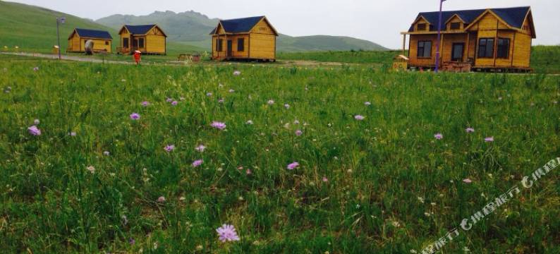 可汗山自驾车露营地民宿图片