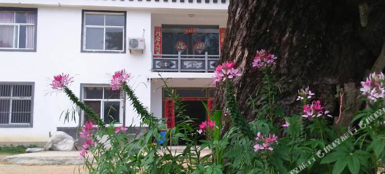 金寨清泉民宿图片