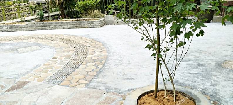 遂昌浮香别院民宿图片