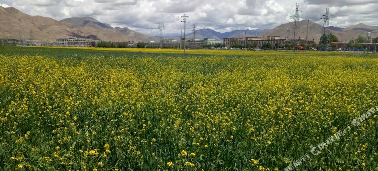 江孜龙鑫商务宾馆图片