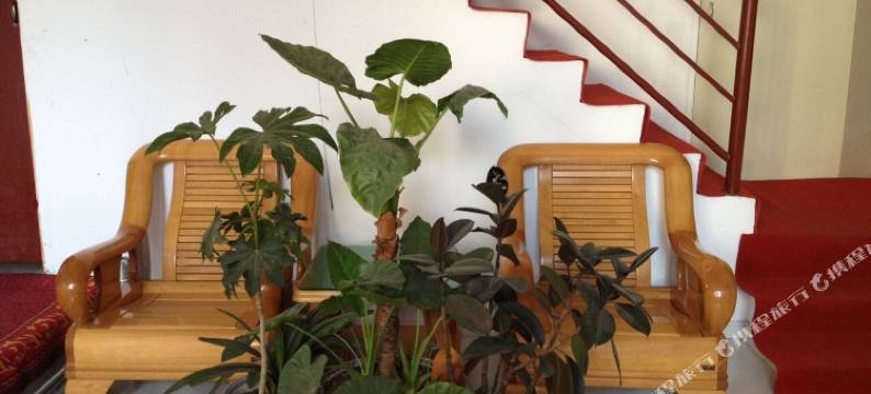 晋中聚儒旅馆图片