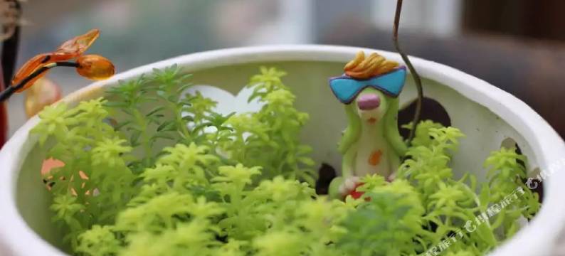 徐州森林海中的森系小屋图片