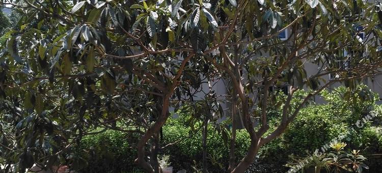 宜兴九号农家乐图片