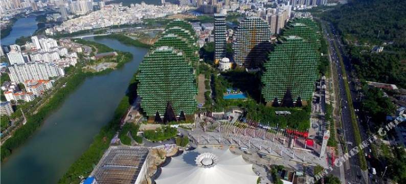 美冠大树度假公寓(三亚美丽之冠店)图片