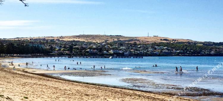 贝斯特韦斯特林肯港(Best Western Port Lincoln)图片