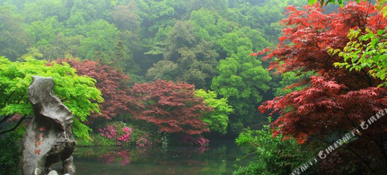 杭州沐曦民宿图片