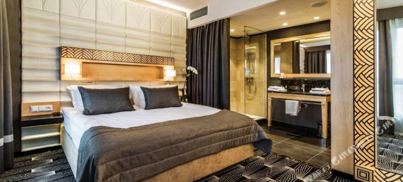 奥肯切机场酒店(Airport Hotel Okęcie)图片