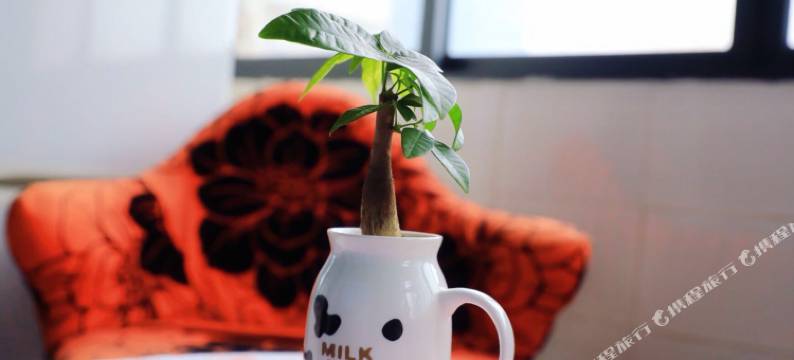 南宁19的家普通公寓图片