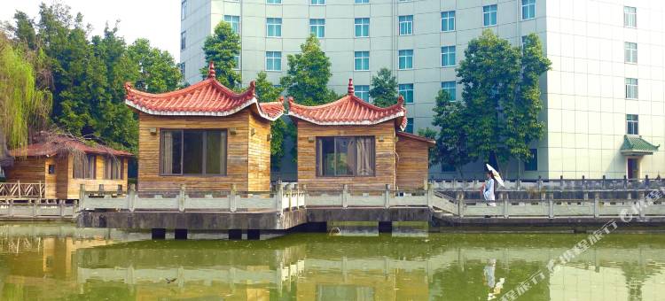 阆中桃园国际大酒店图片