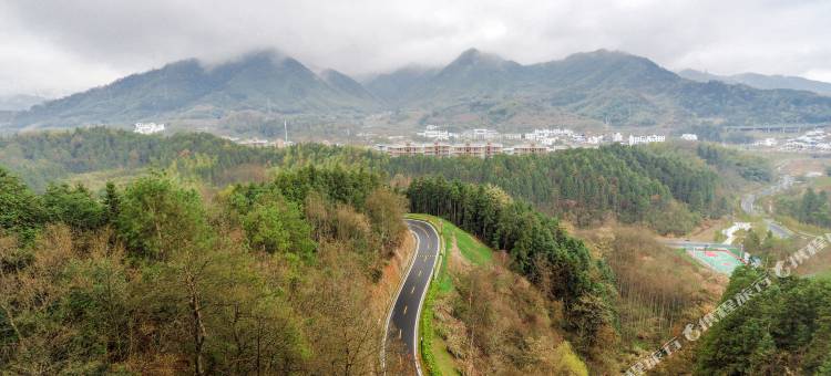 黄山太平湖绿地G公寓图片