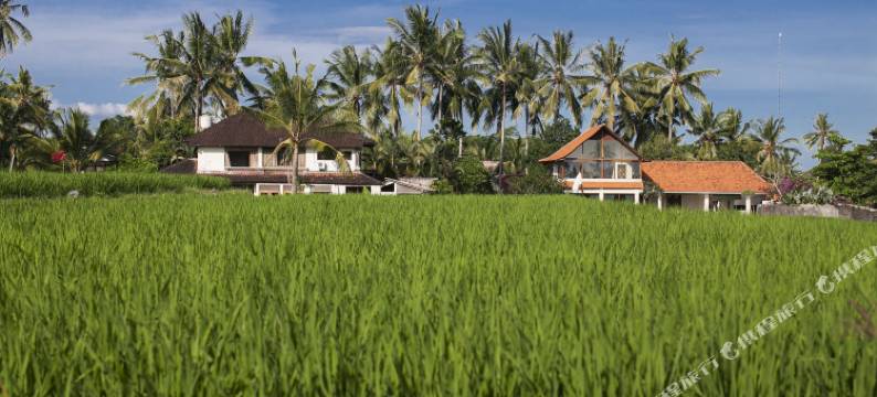 巴厘岛伊顿度假别墅(Eden Estate Villa Ubud)图片