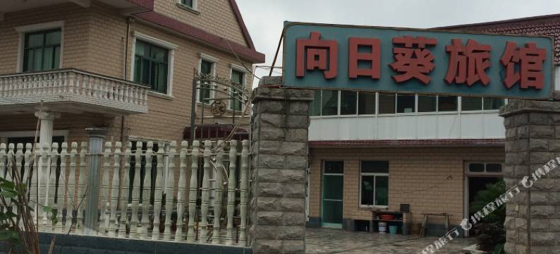 上海向日葵旅馆图片
