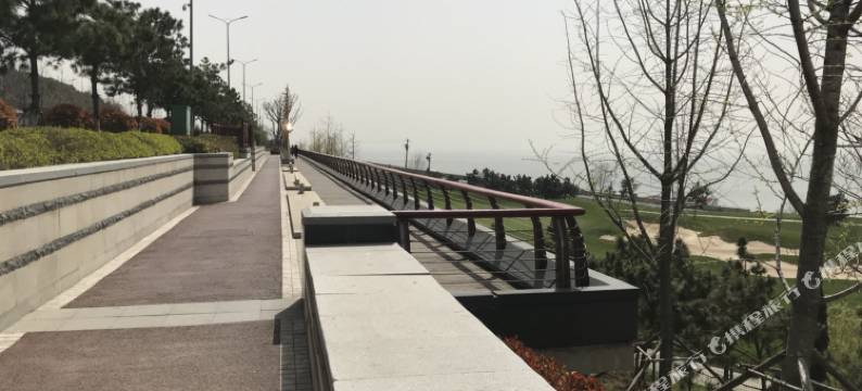 青岛有水地方公寓图片