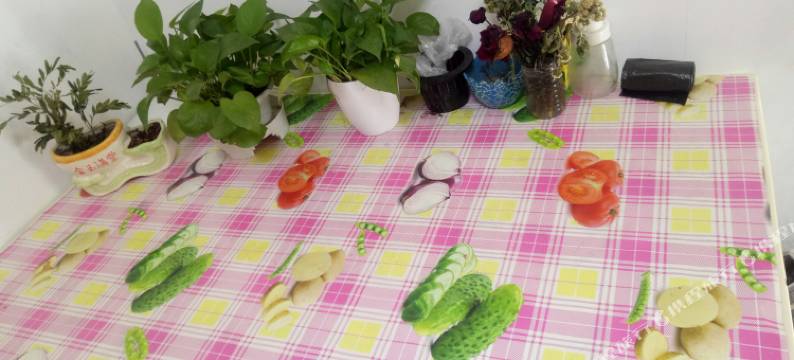 武汉Nice青年旅社图片